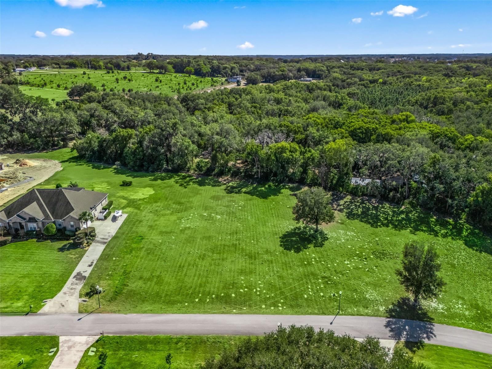 SE 156TH LANE, WEIRSDALE, FL, 32195