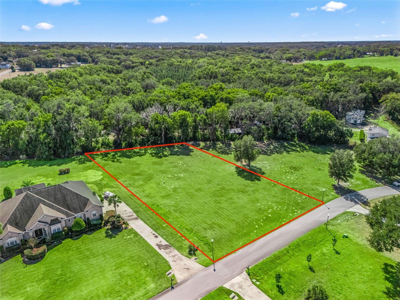 SE 156TH LANE, WEIRSDALE, FL, 32195