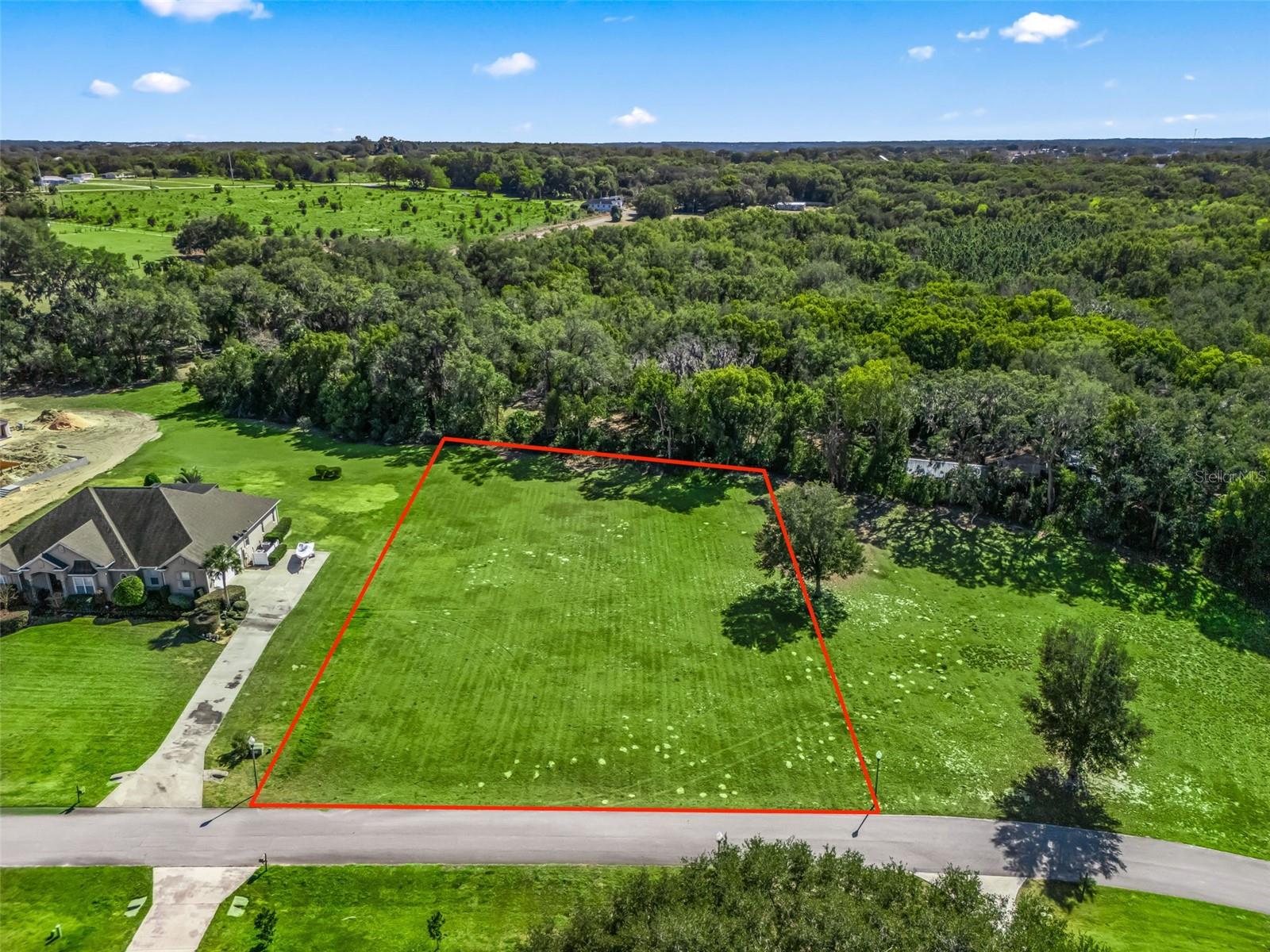 SE 156TH LANE, WEIRSDALE, FL, 32195