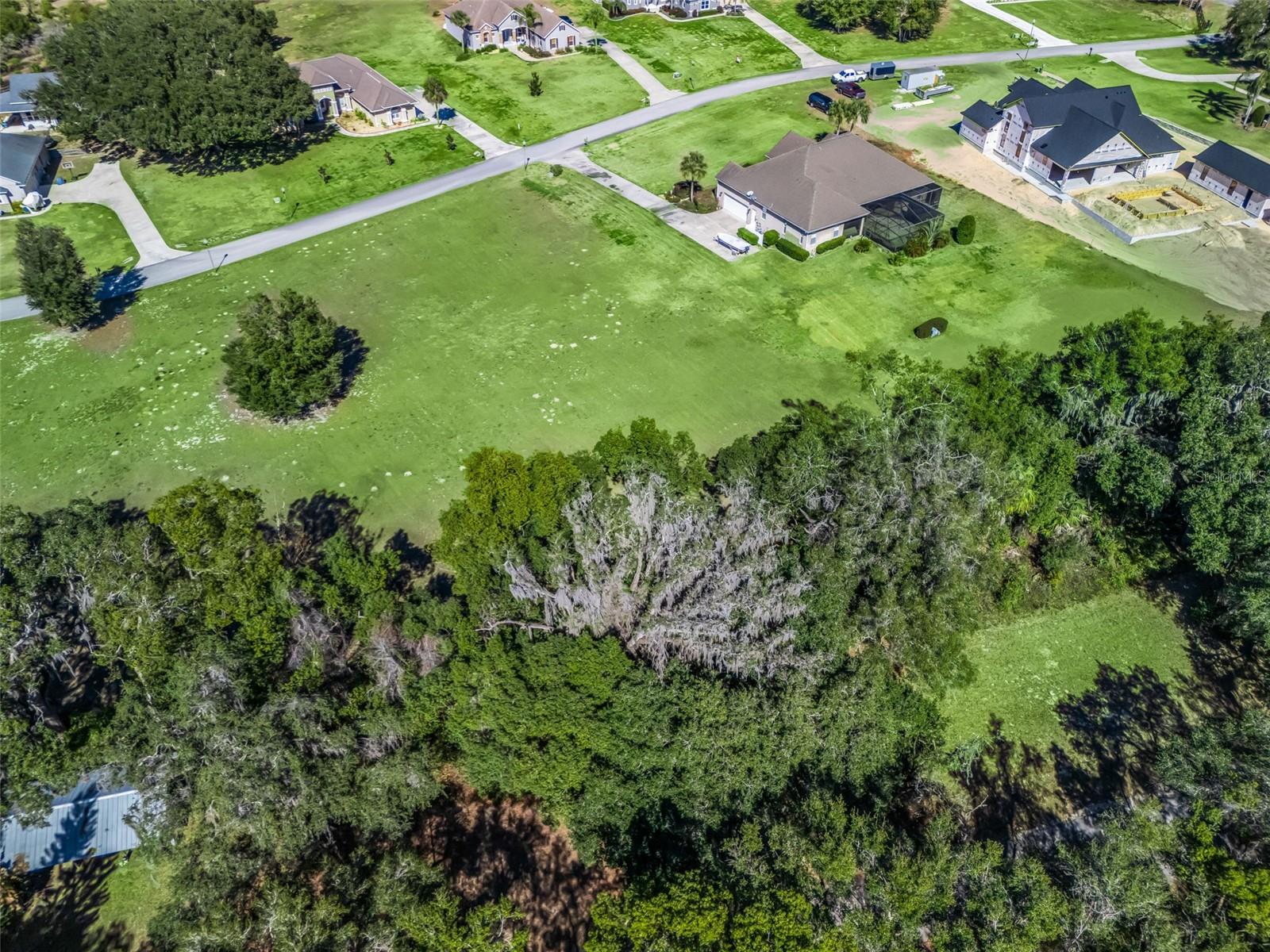 SE 156TH LANE, WEIRSDALE, FL, 32195
