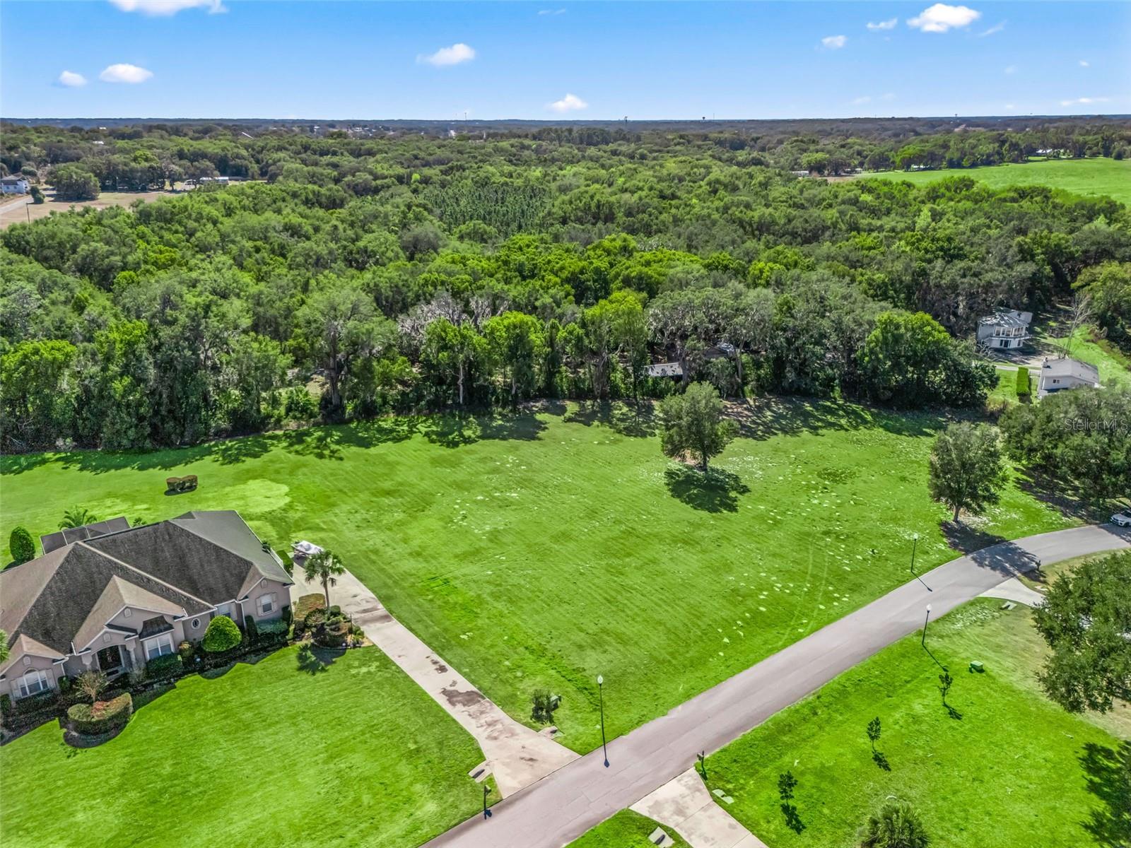 SE 156TH LANE, WEIRSDALE, FL, 32195