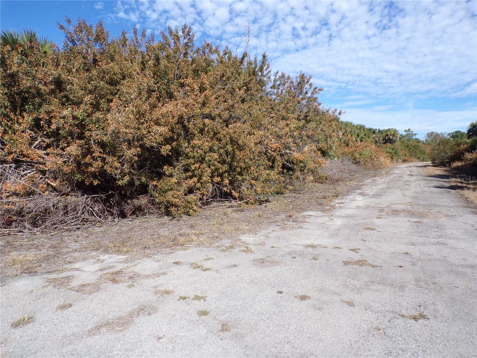 CRIMSONGLORY RD, NORTH PORT, FL, 34288