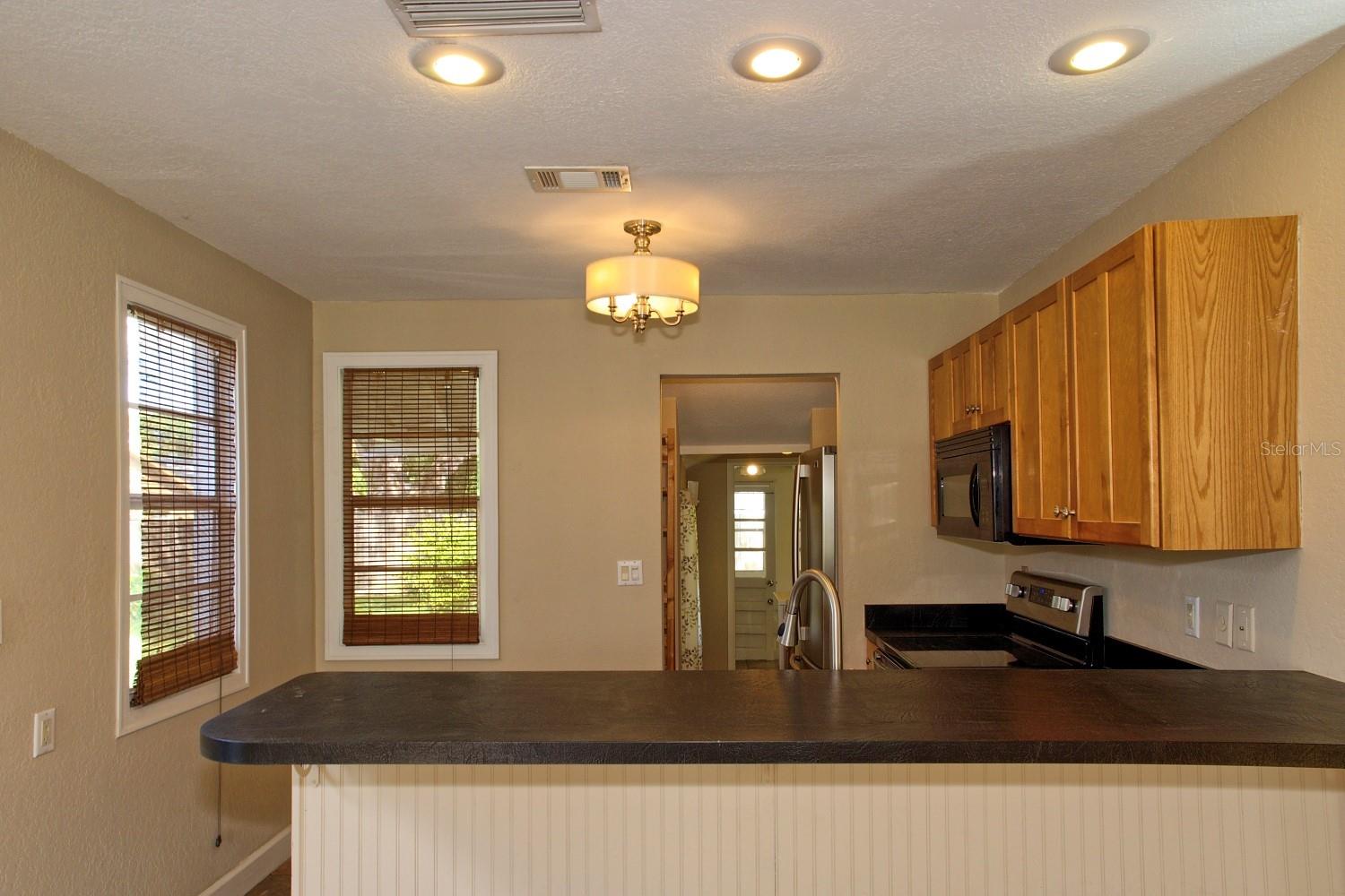 1315 E MARKS ST, ORLANDO, FL, 32803