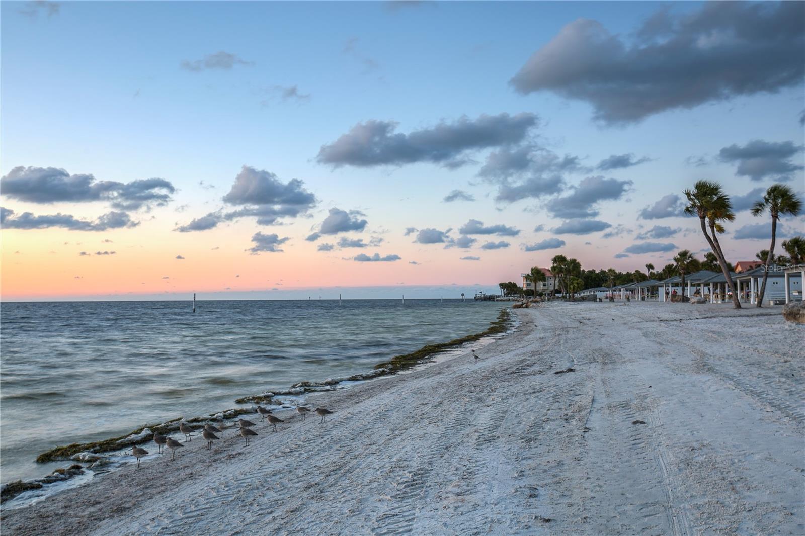 4932 ILENER ST, NEW PORT RICHEY, FL, 34652