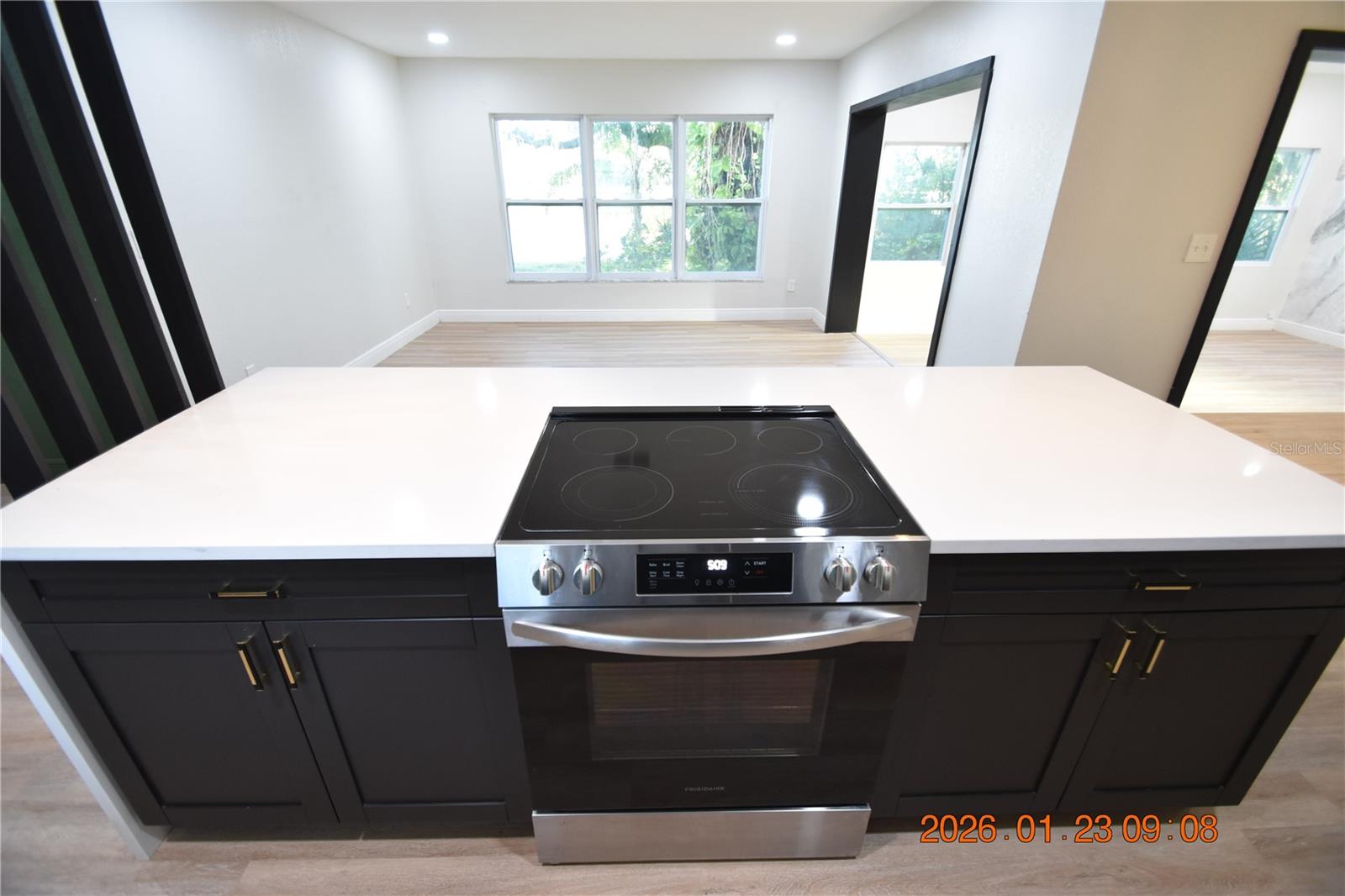 3606 RIVER GROVE DR, TAMPA, FL, 33610