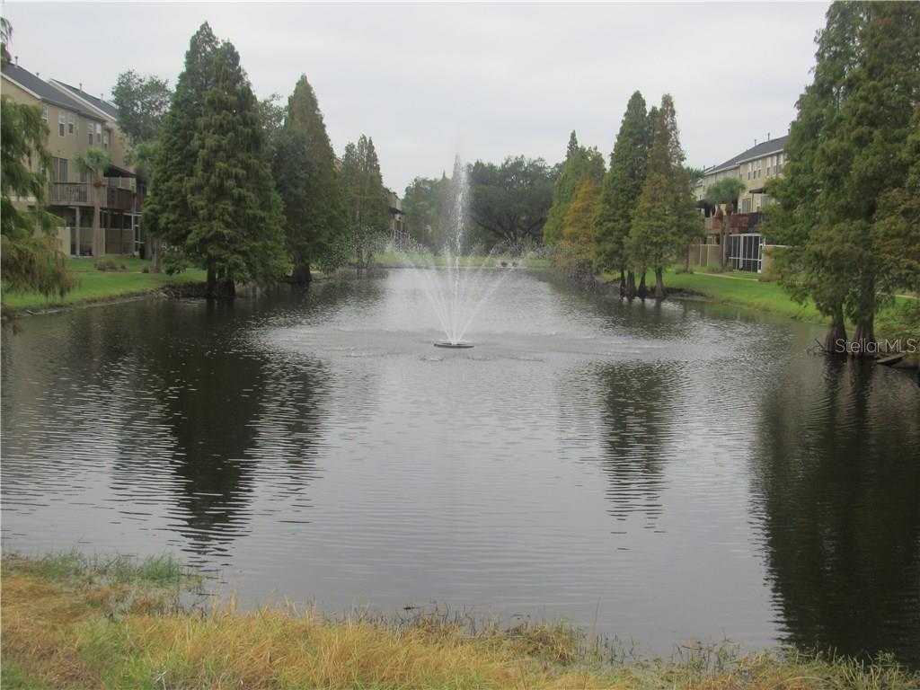 2914 BAYSHORE POINTE DR, TAMPA, FL, 33611