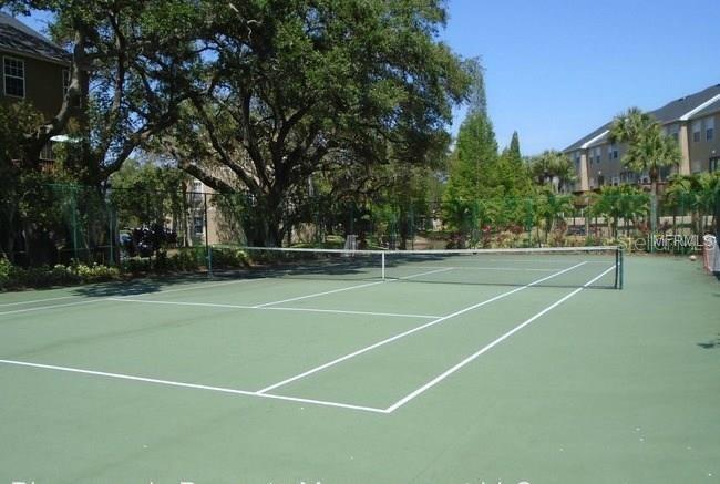 2914 BAYSHORE POINTE DR, TAMPA, FL, 33611