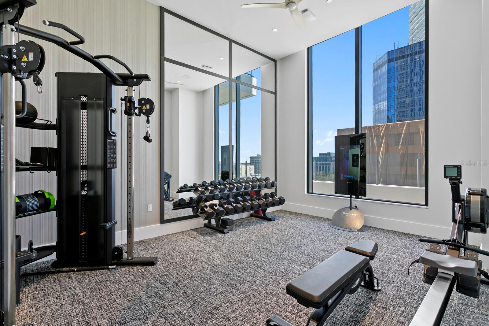 Dog Park with an adjacent Dog Wash Room