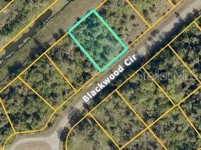 BLACKWOOD CIR, NORTH PORT, FL, 34288