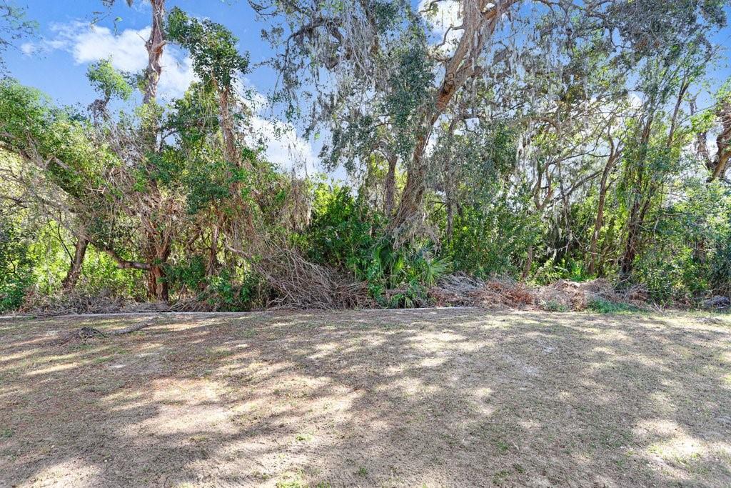 Conservation Lot View