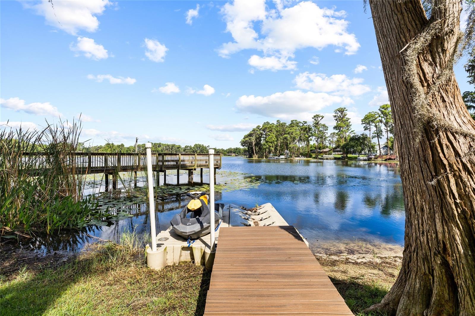 18010 CLEAR LAKE DR, LUTZ, FL, 33548
