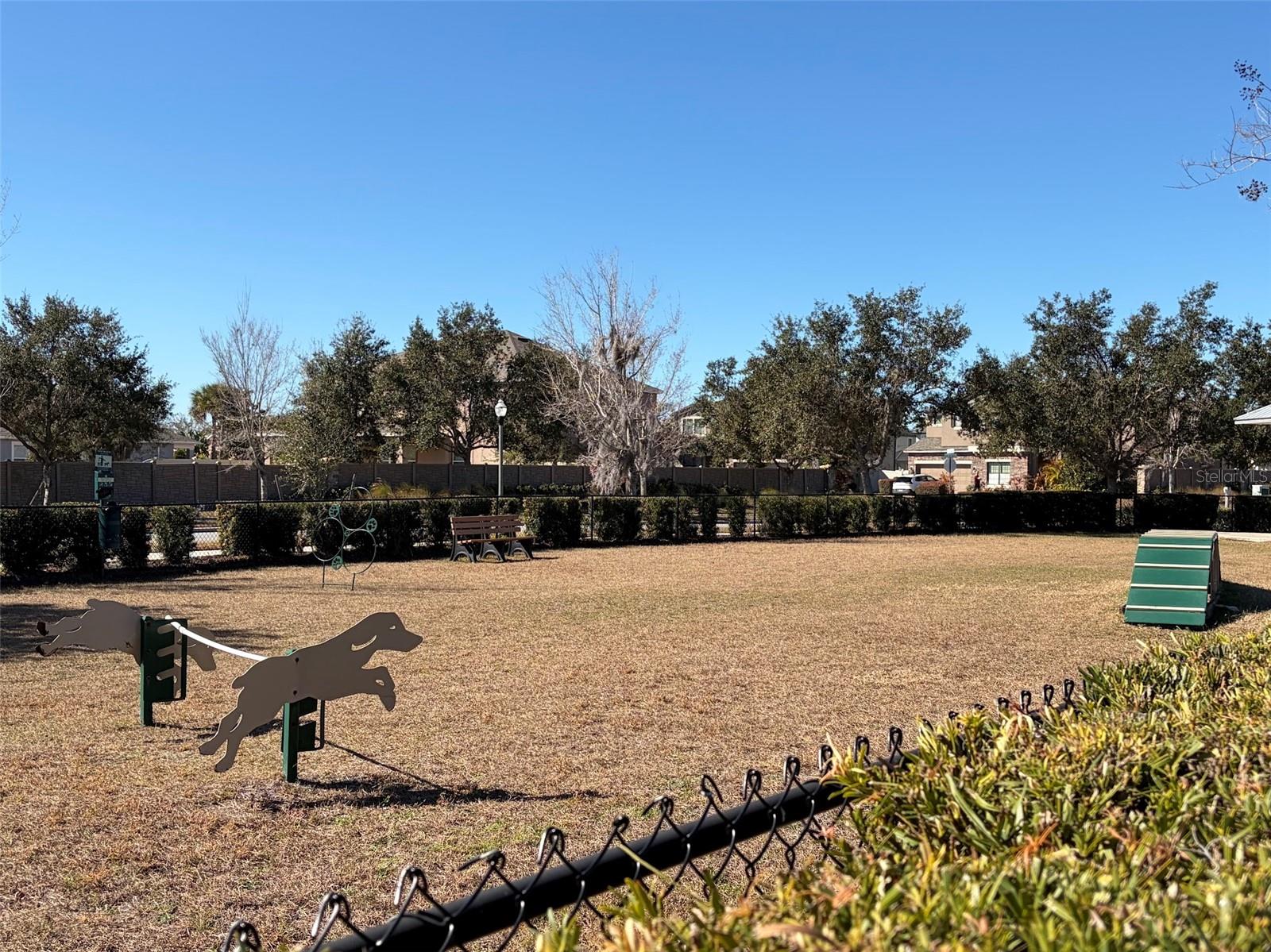 Dog Park