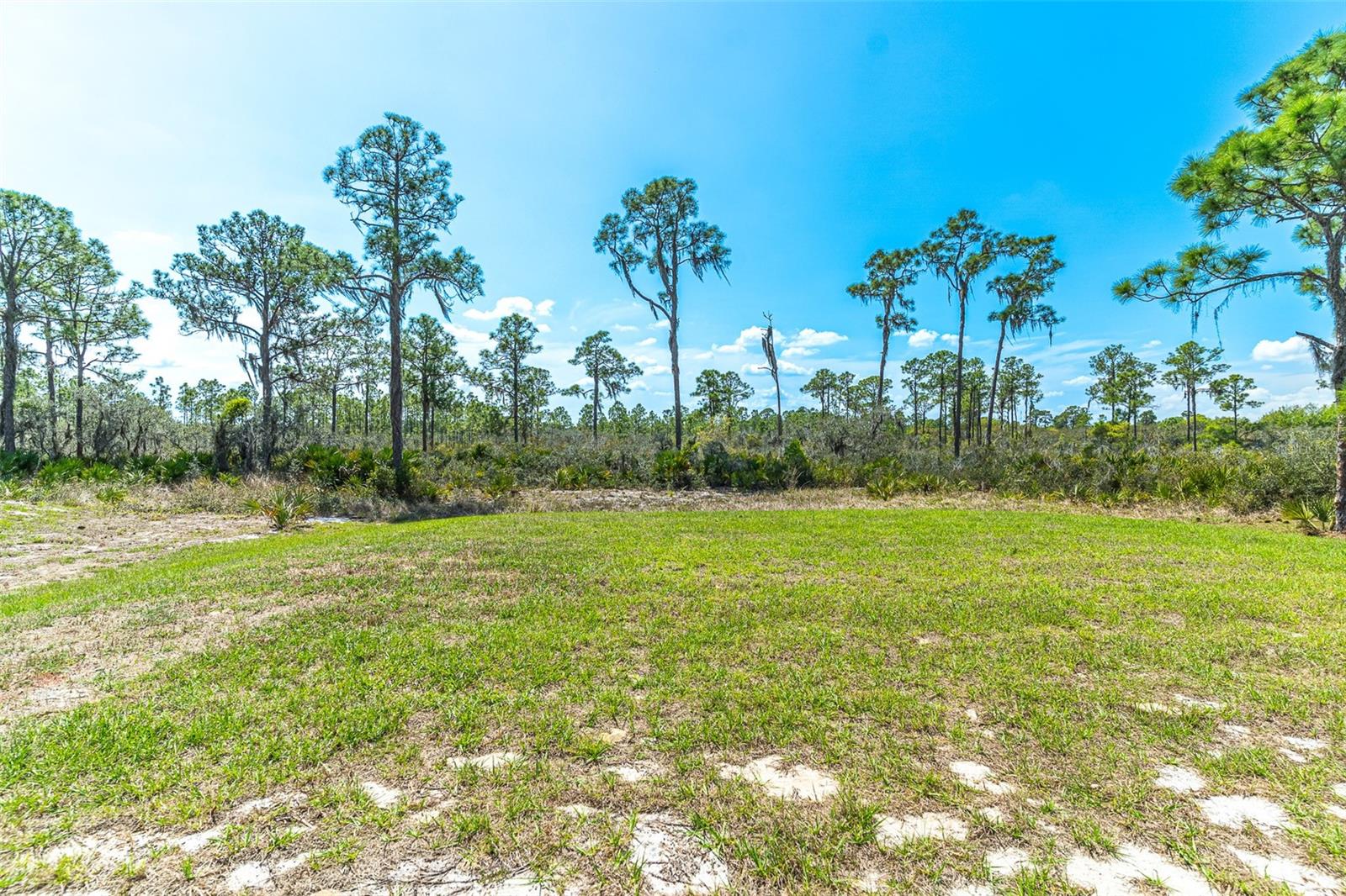 1411 BITTERSWEET ST, LAKE PLACID, FL, 33852