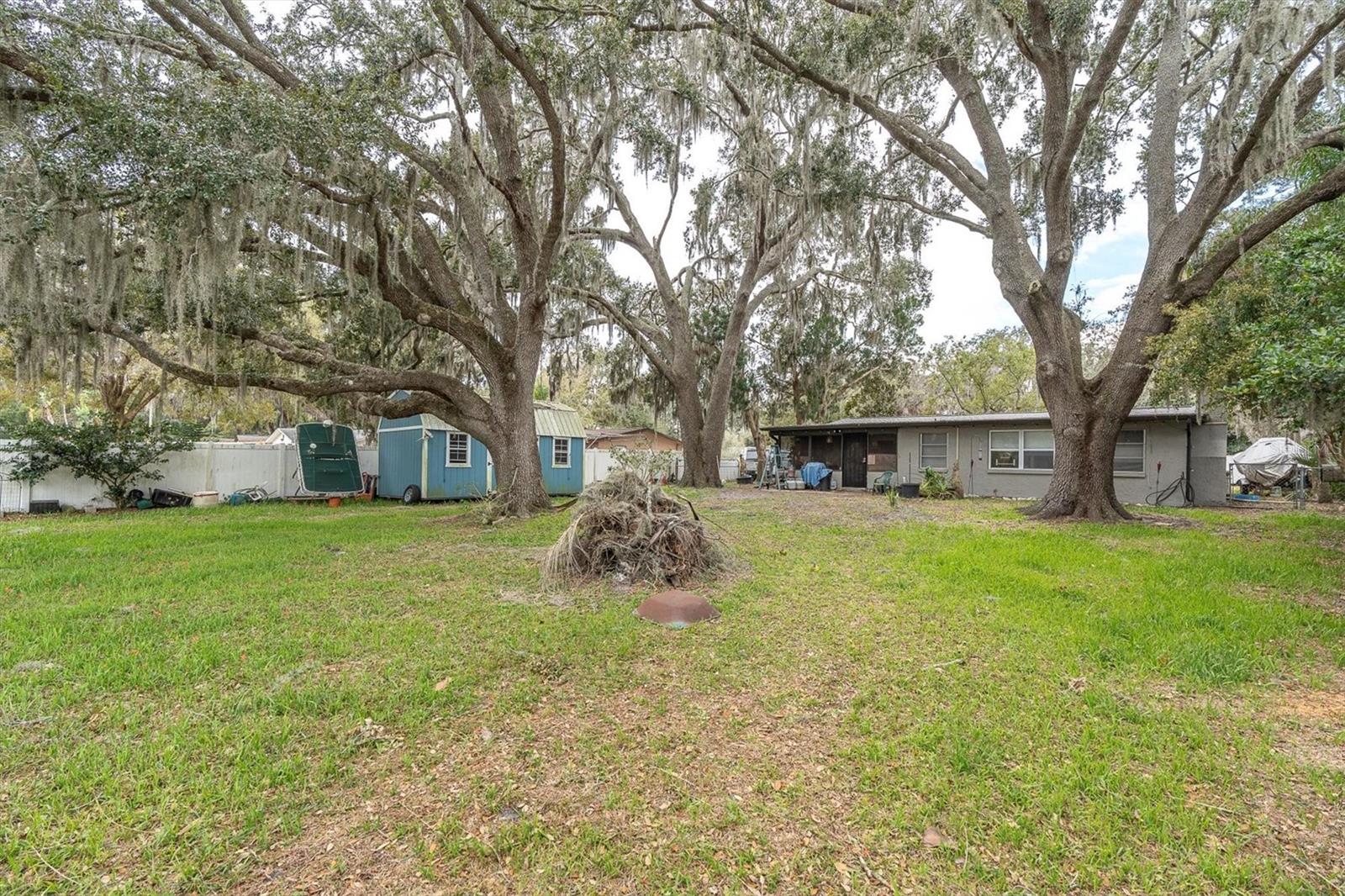 View from the lake to the house in the back yard.