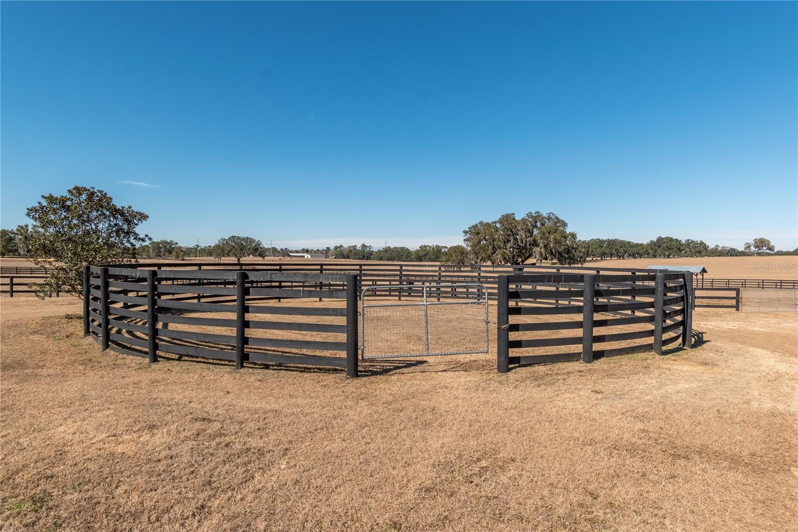 OM718115 Property Photo