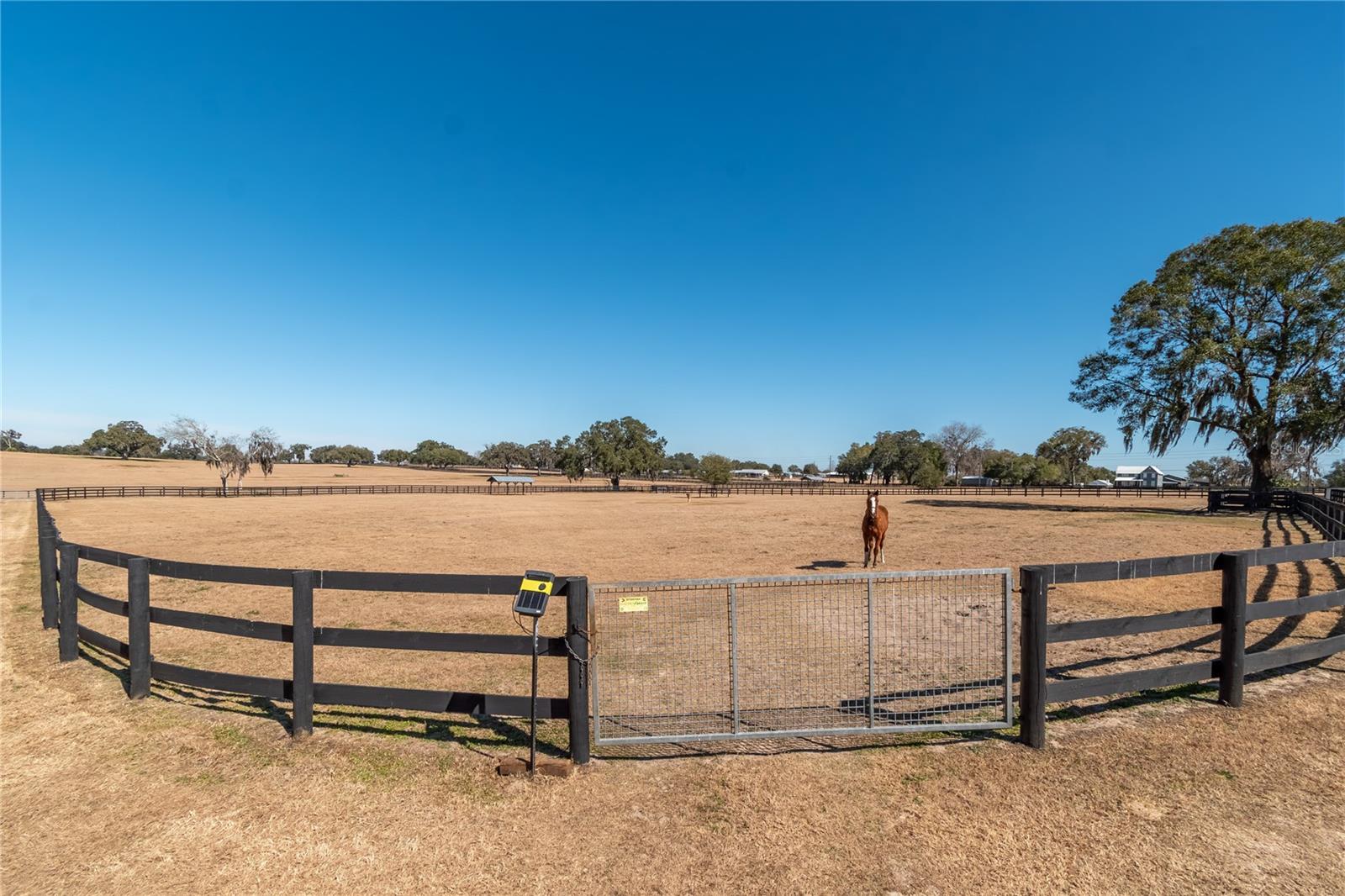 OM718115 Property Photo