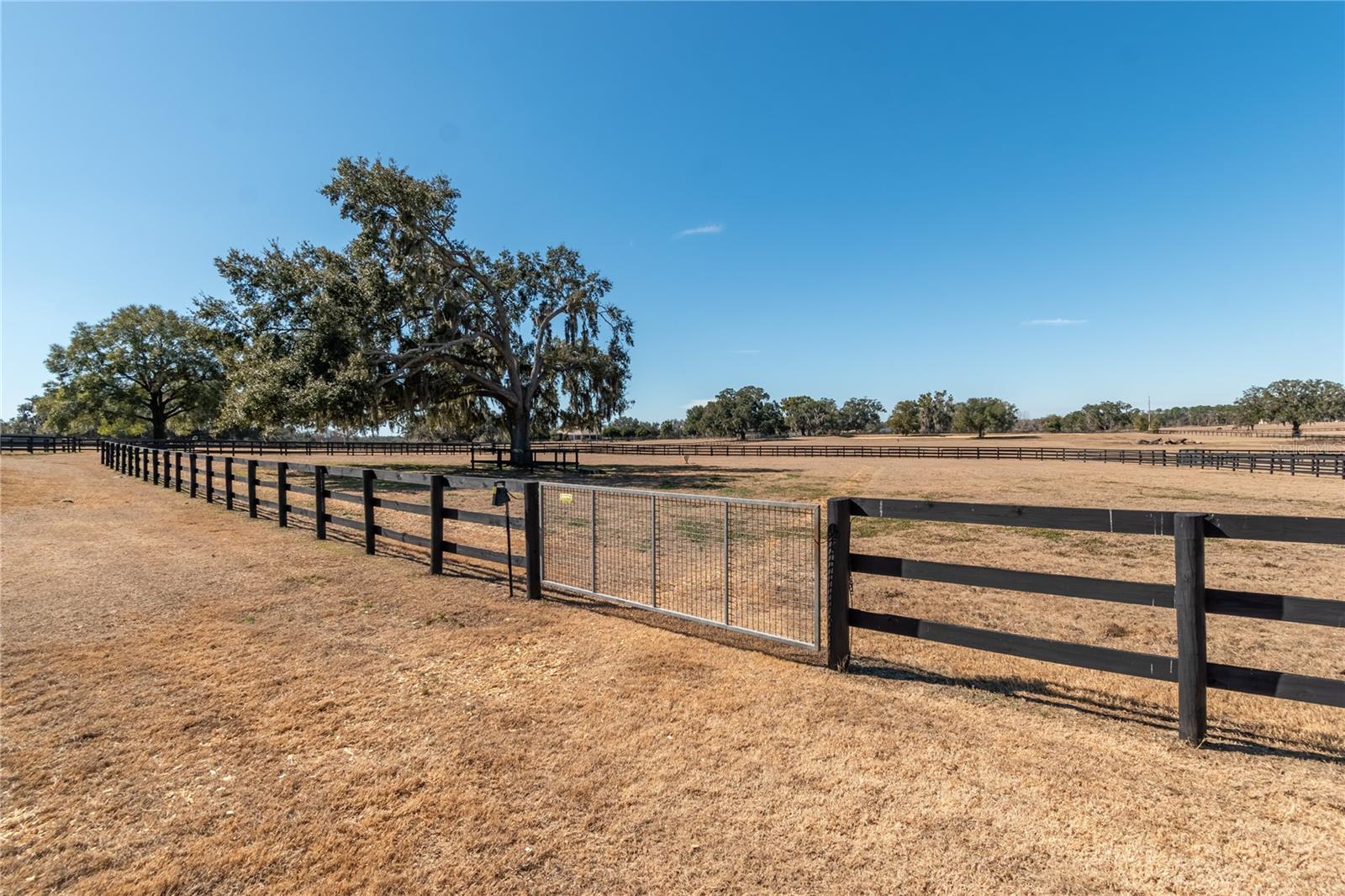 OM718115 Property Photo