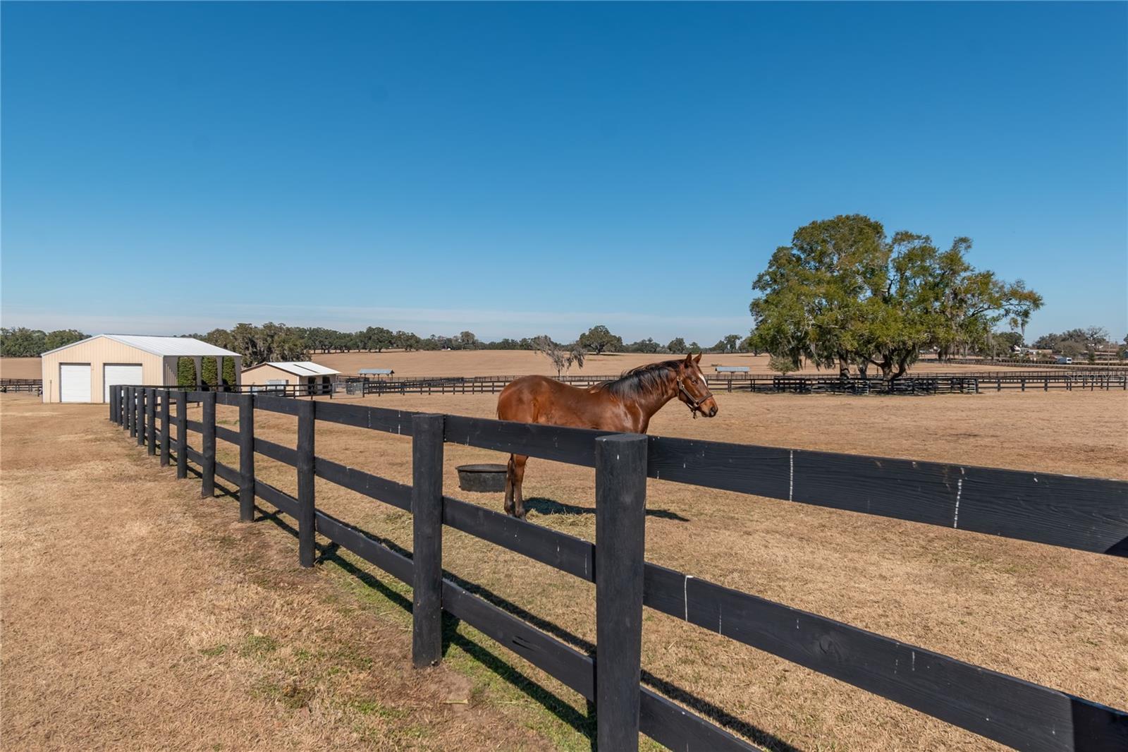 OM718115 Property Photo