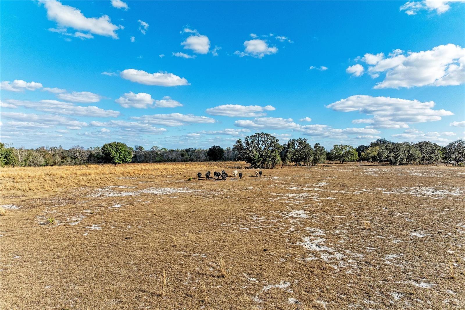 33100 & 33070 TAYLOR GRADE RD, PARRISH, FL, 34219