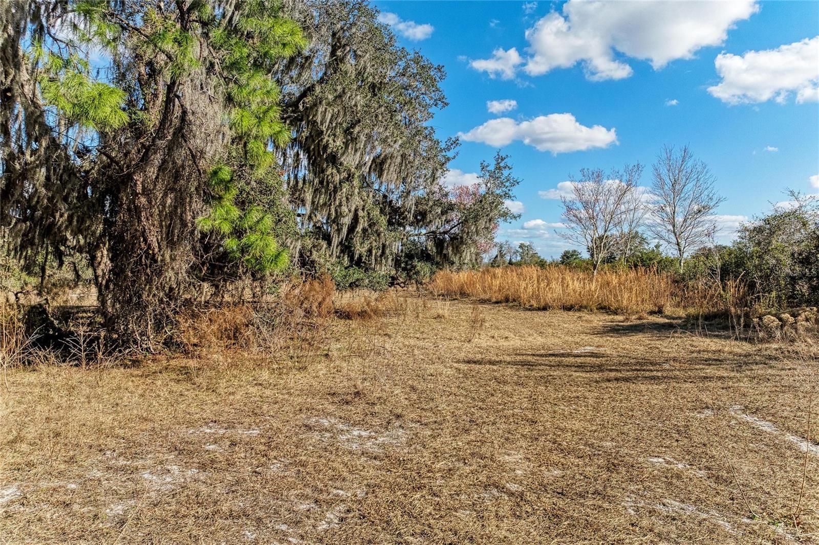 33100 & 33070 TAYLOR GRADE RD, PARRISH, FL, 34219