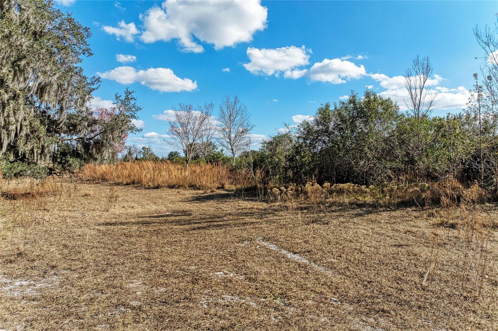 33100 & 33070 TAYLOR GRADE RD, PARRISH, FL, 34219