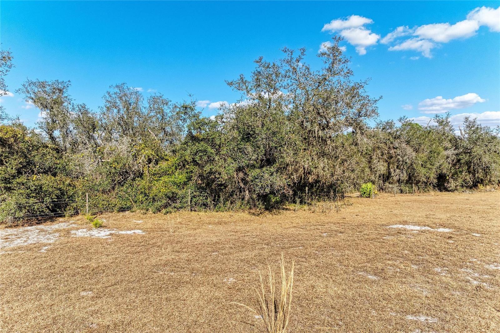 33100 & 33070 TAYLOR GRADE RD, PARRISH, FL, 34219