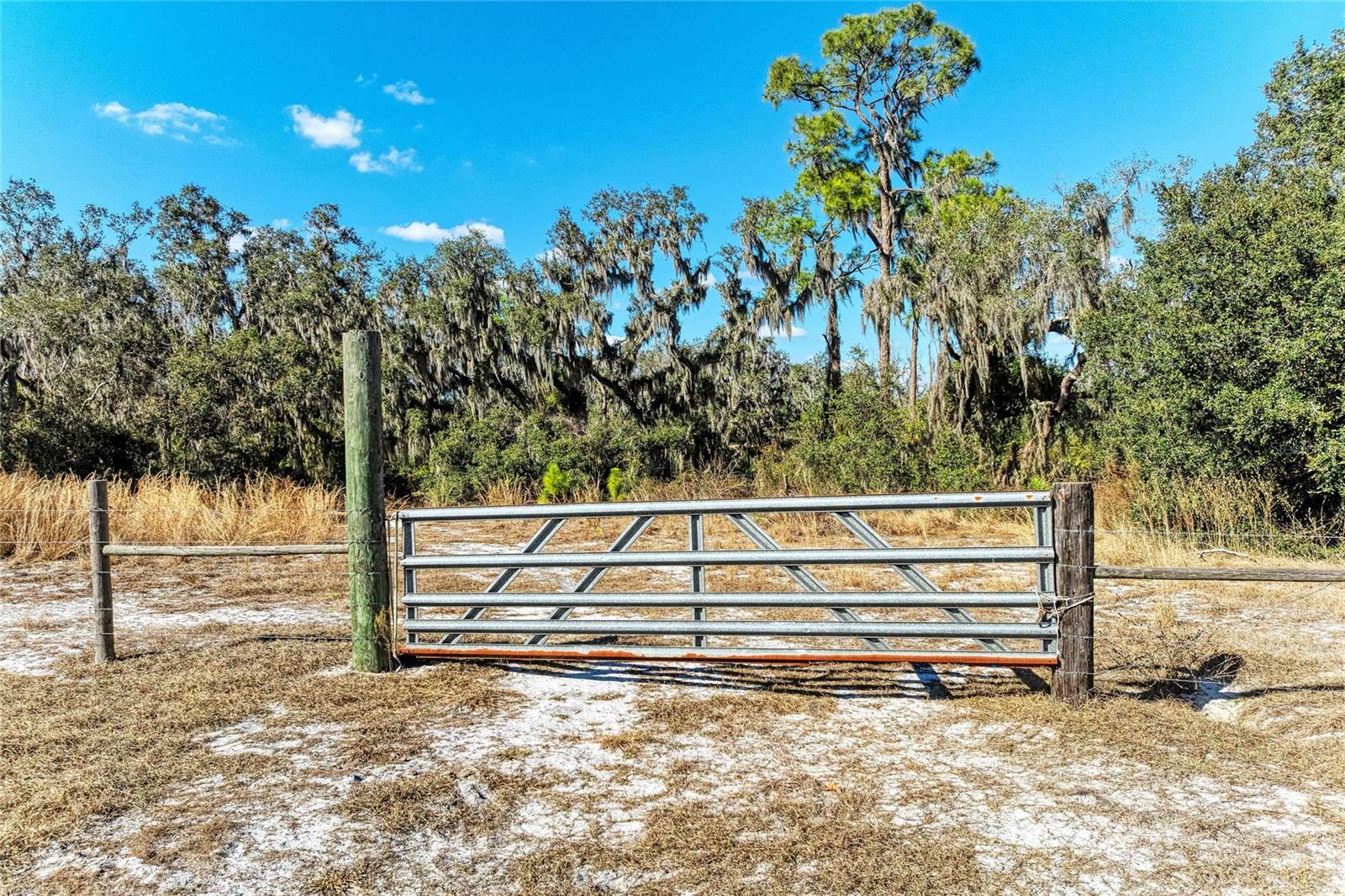 33100 & 33070 TAYLOR GRADE RD, PARRISH, FL, 34219