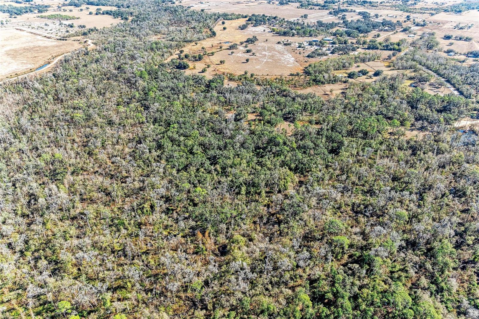 33100 & 33070 TAYLOR GRADE RD, PARRISH, FL, 34219