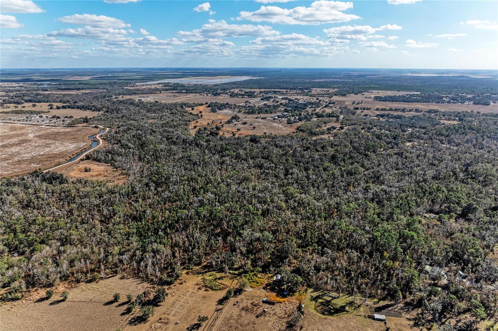 33100 & 33070 TAYLOR GRADE RD, PARRISH, FL, 34219