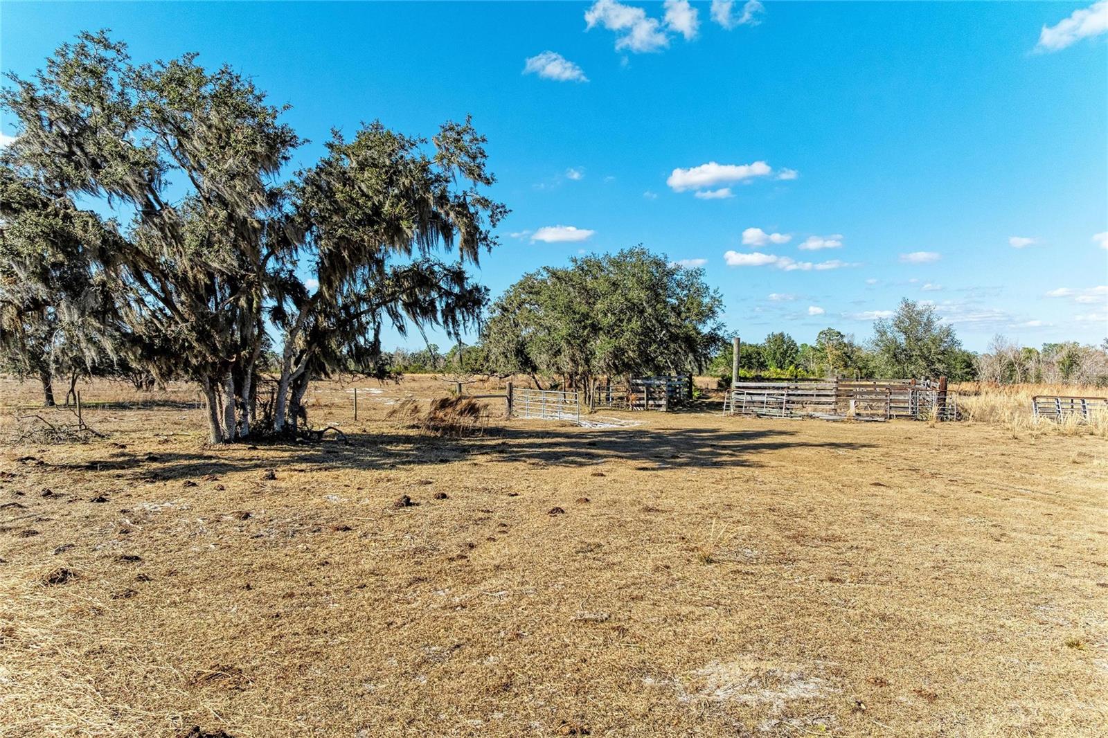 33100 & 33070 TAYLOR GRADE RD, PARRISH, FL, 34219