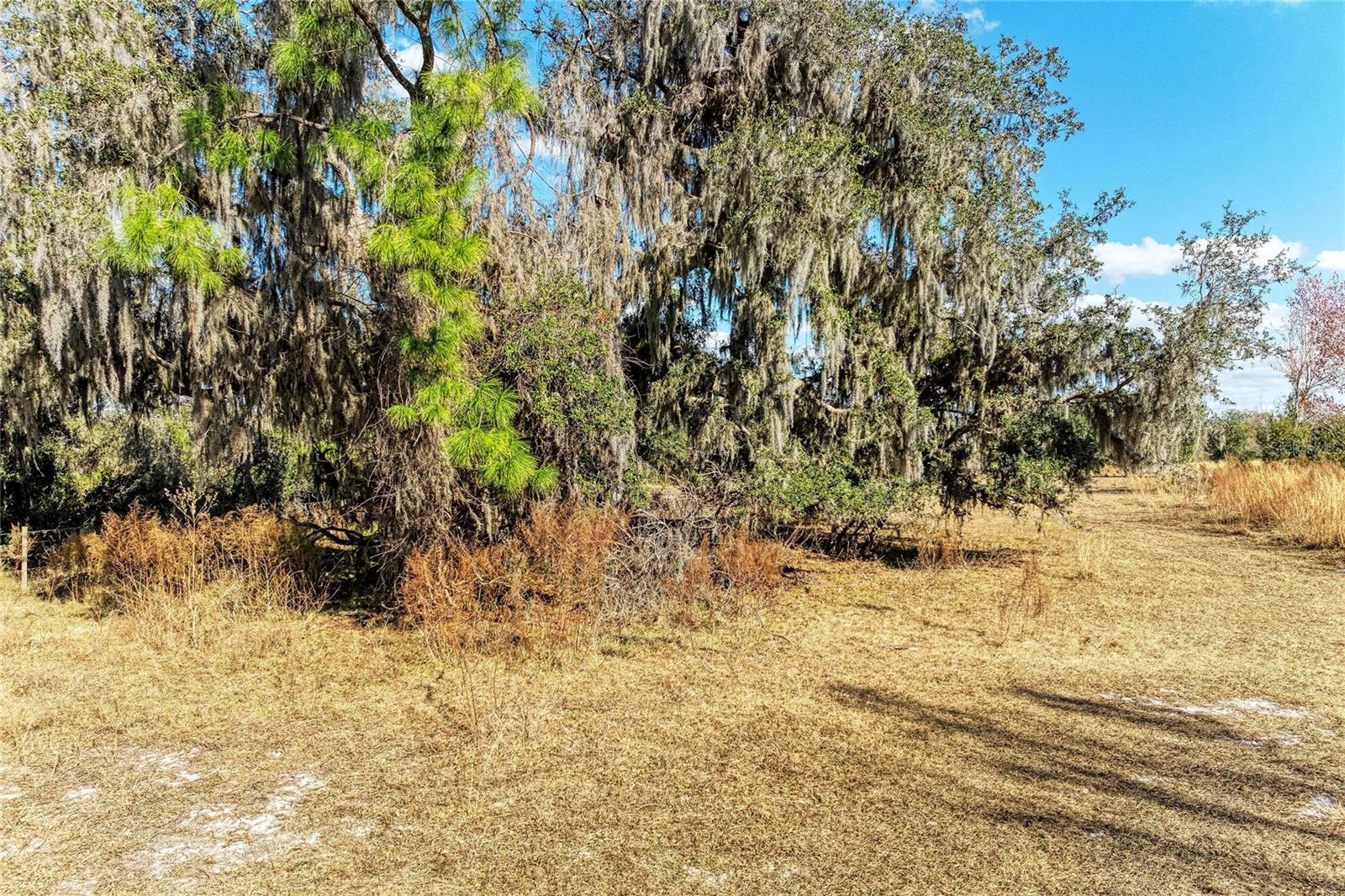 33100 & 33070 TAYLOR GRADE RD, PARRISH, FL, 34219