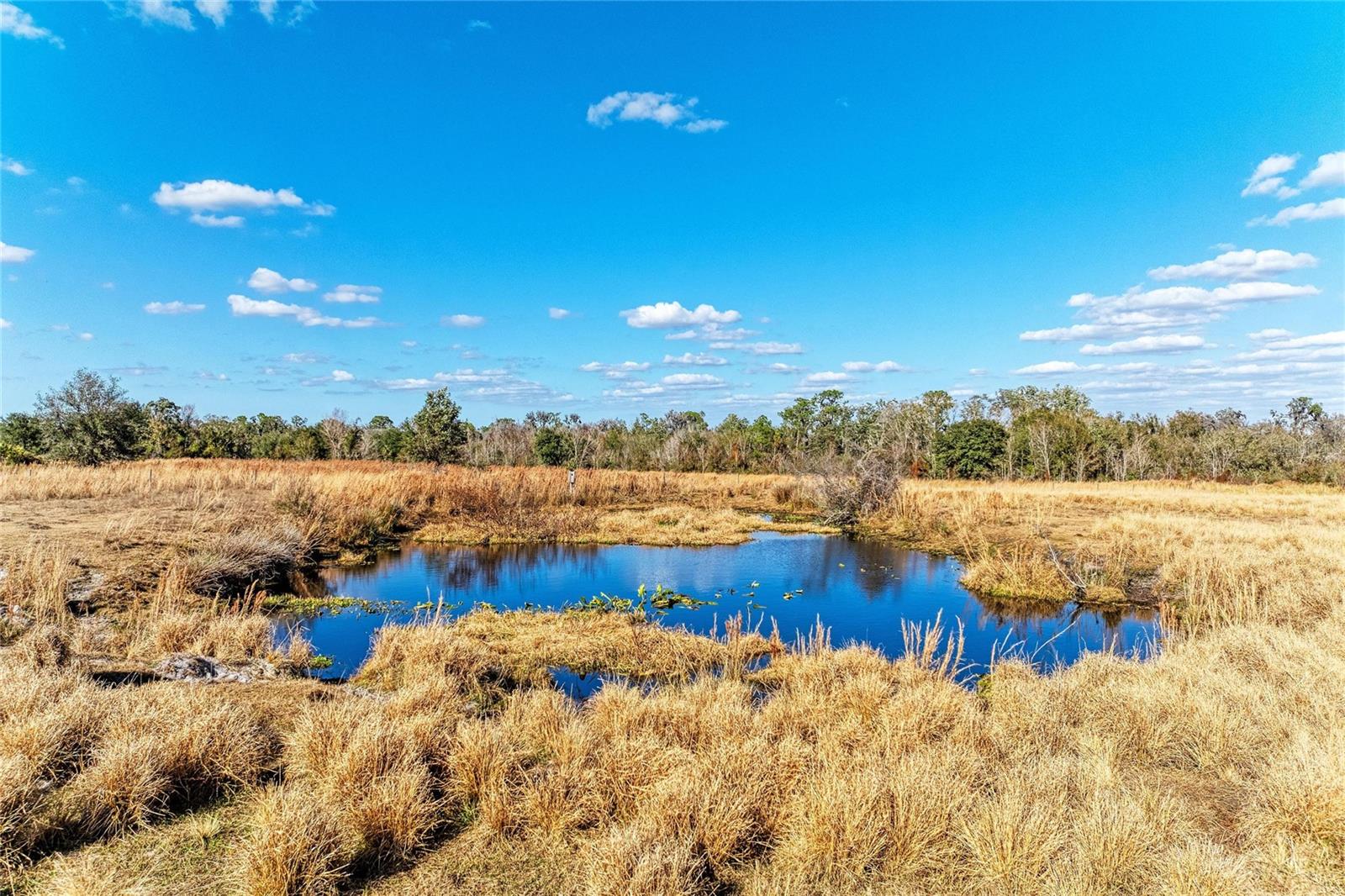 33100 & 33070 TAYLOR GRADE RD, PARRISH, FL, 34219