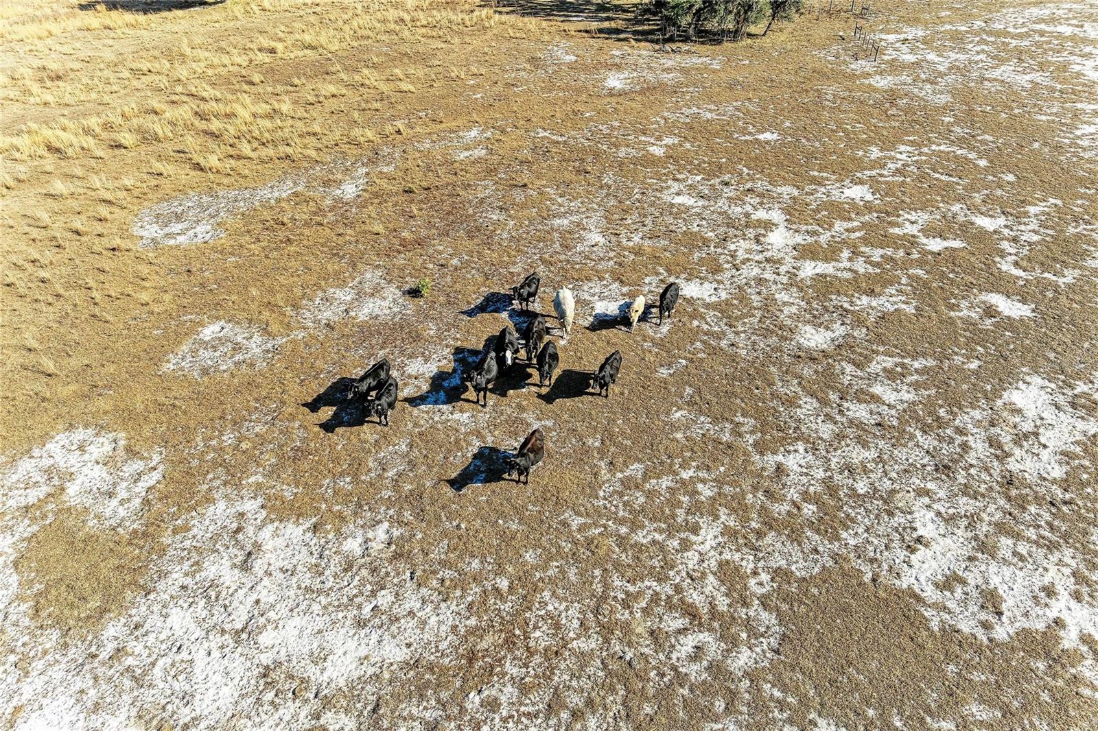 33100 & 33070 TAYLOR GRADE RD, PARRISH, FL, 34219