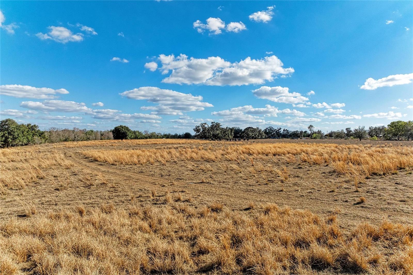 33100 & 33070 TAYLOR GRADE RD, PARRISH, FL, 34219