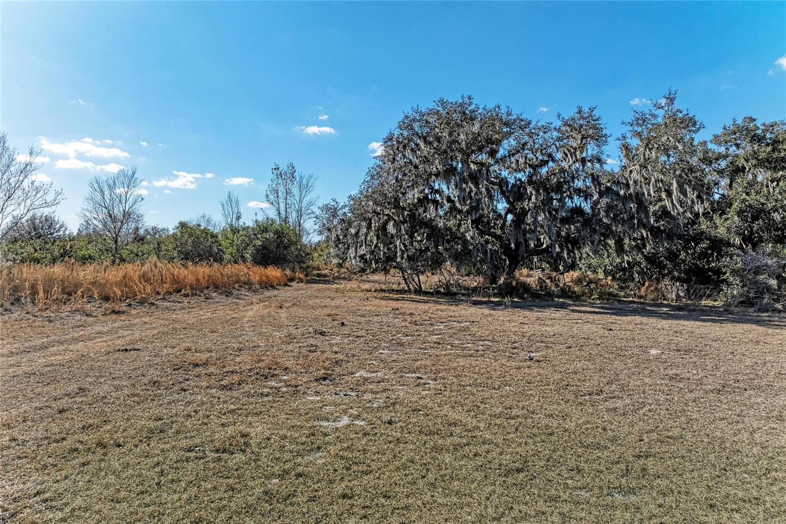 33100 & 33070 TAYLOR GRADE RD, PARRISH, FL, 34219