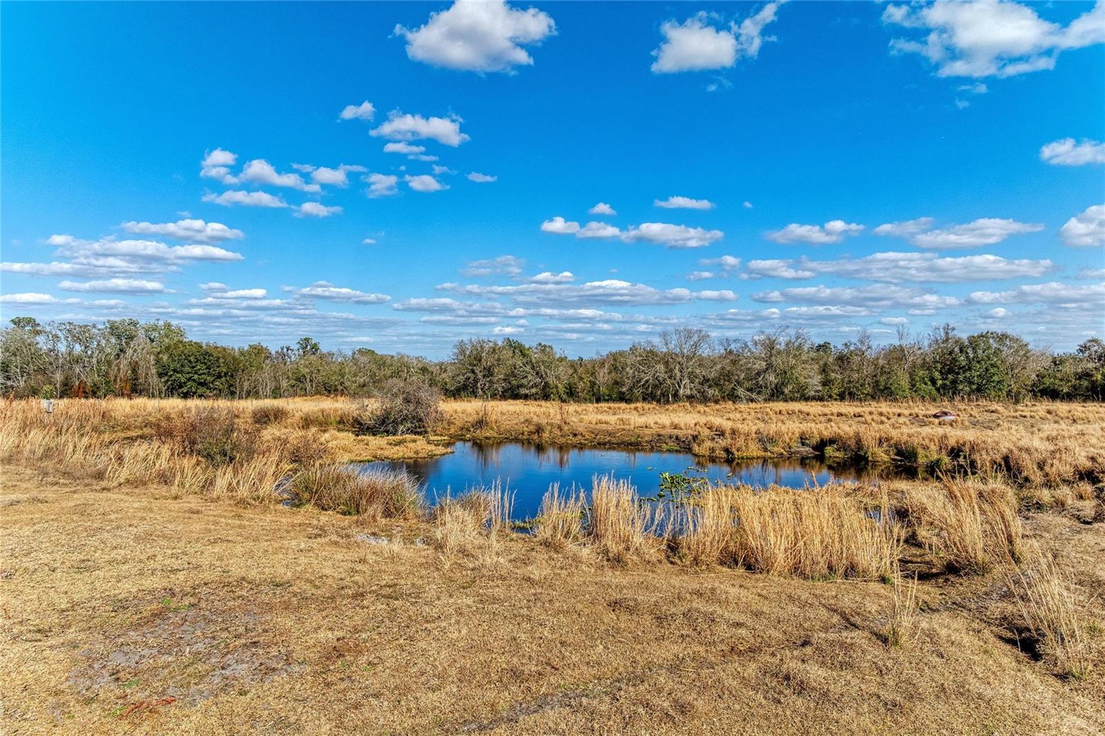 33100 & 33070 TAYLOR GRADE RD, PARRISH, FL, 34219