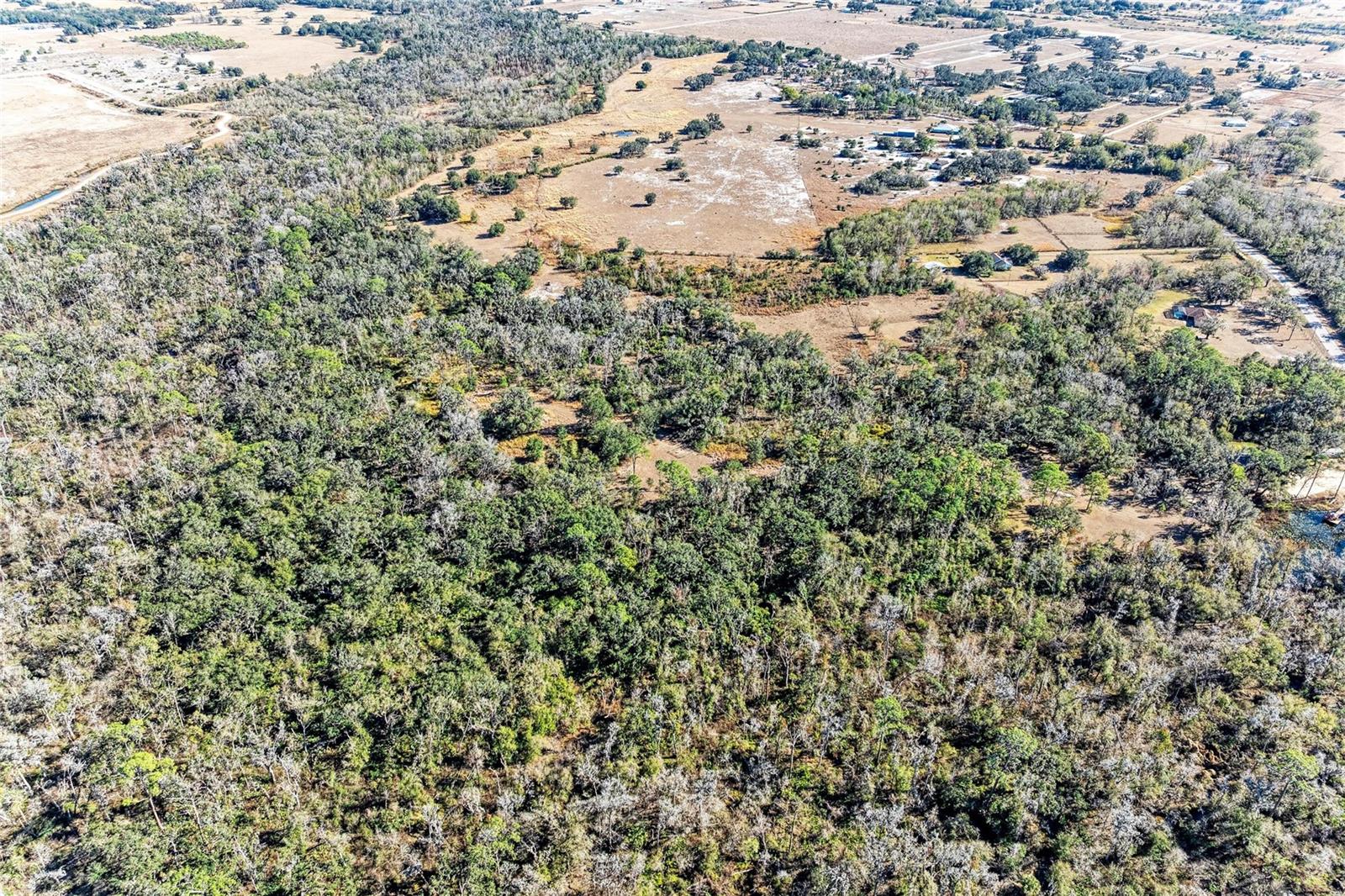 33100 & 33070 TAYLOR GRADE RD, PARRISH, FL, 34219