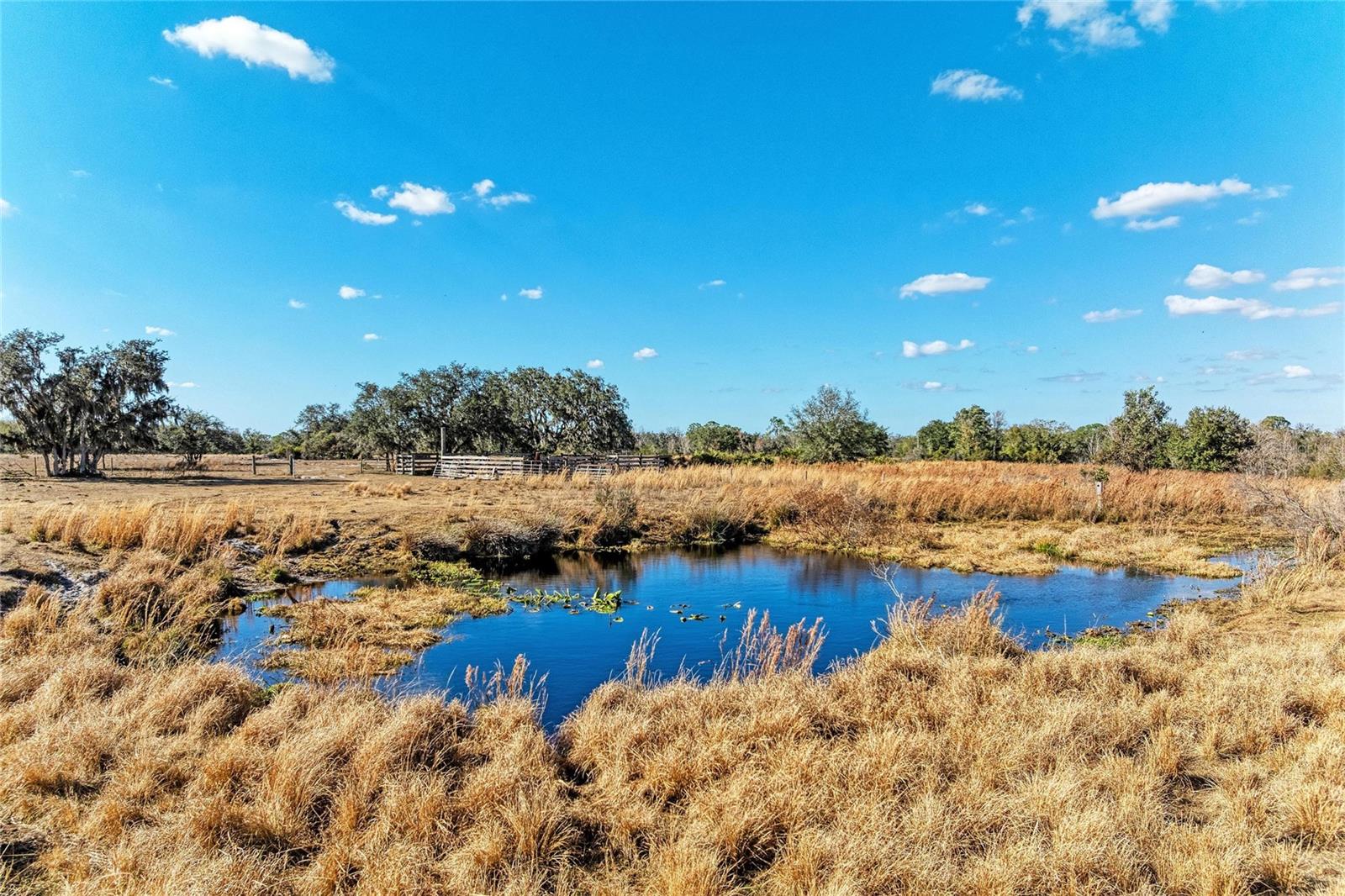 33100 & 33070 TAYLOR GRADE RD, PARRISH, FL, 34219