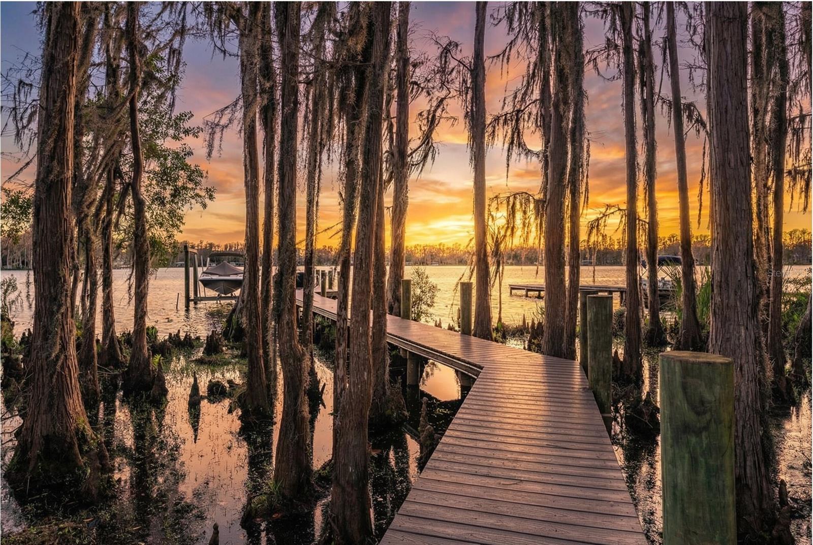 TB8472770 Property Photo