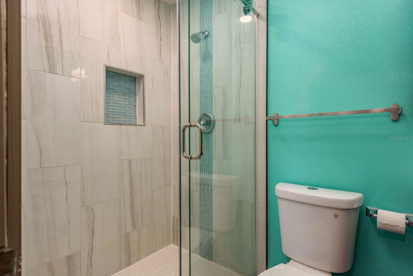 New Shower door with updated tile shower