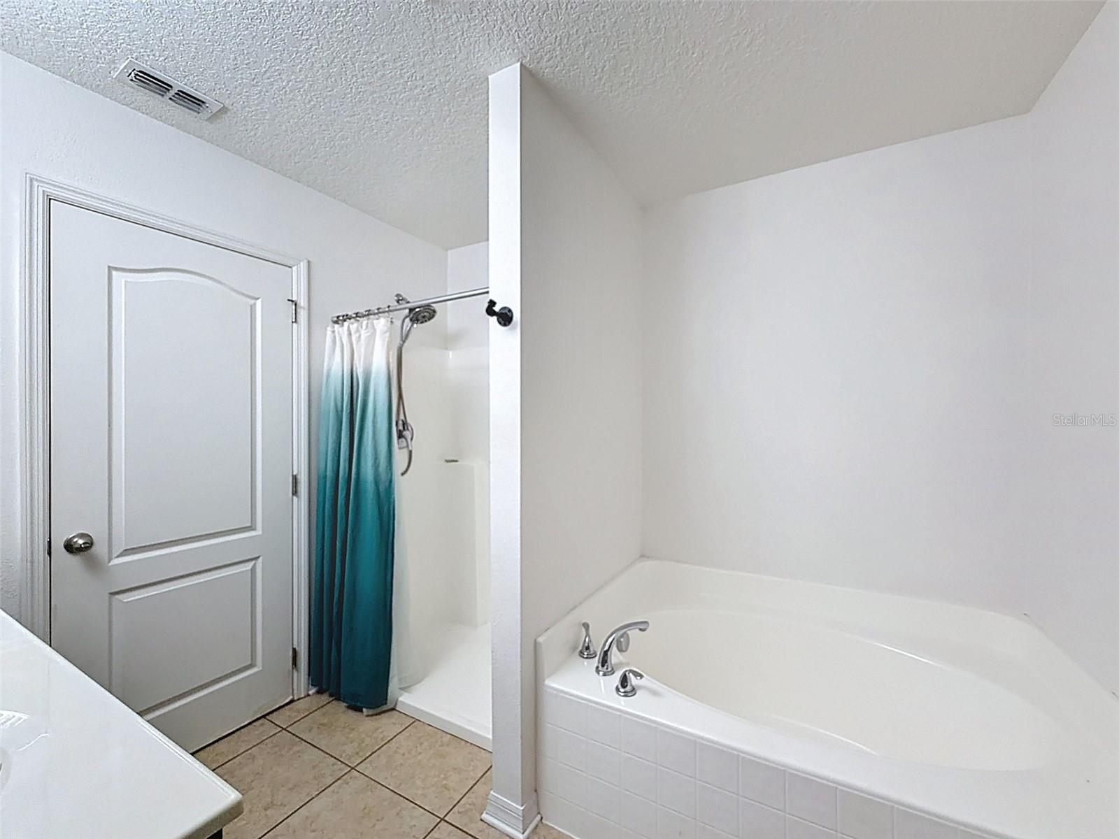 Primary Room shower and tub 2nd floor