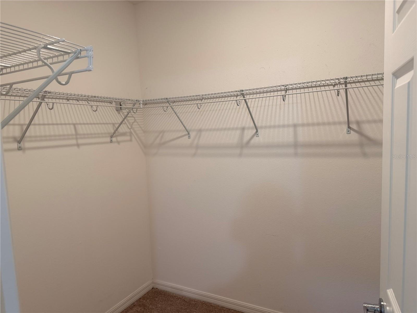 4209 BEARGRASS ST, CLERMONT, FL, 34714