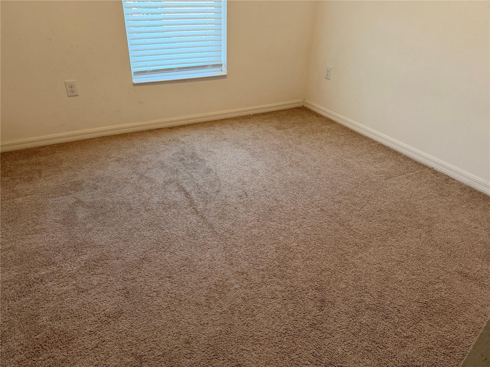4209 BEARGRASS ST, CLERMONT, FL, 34714