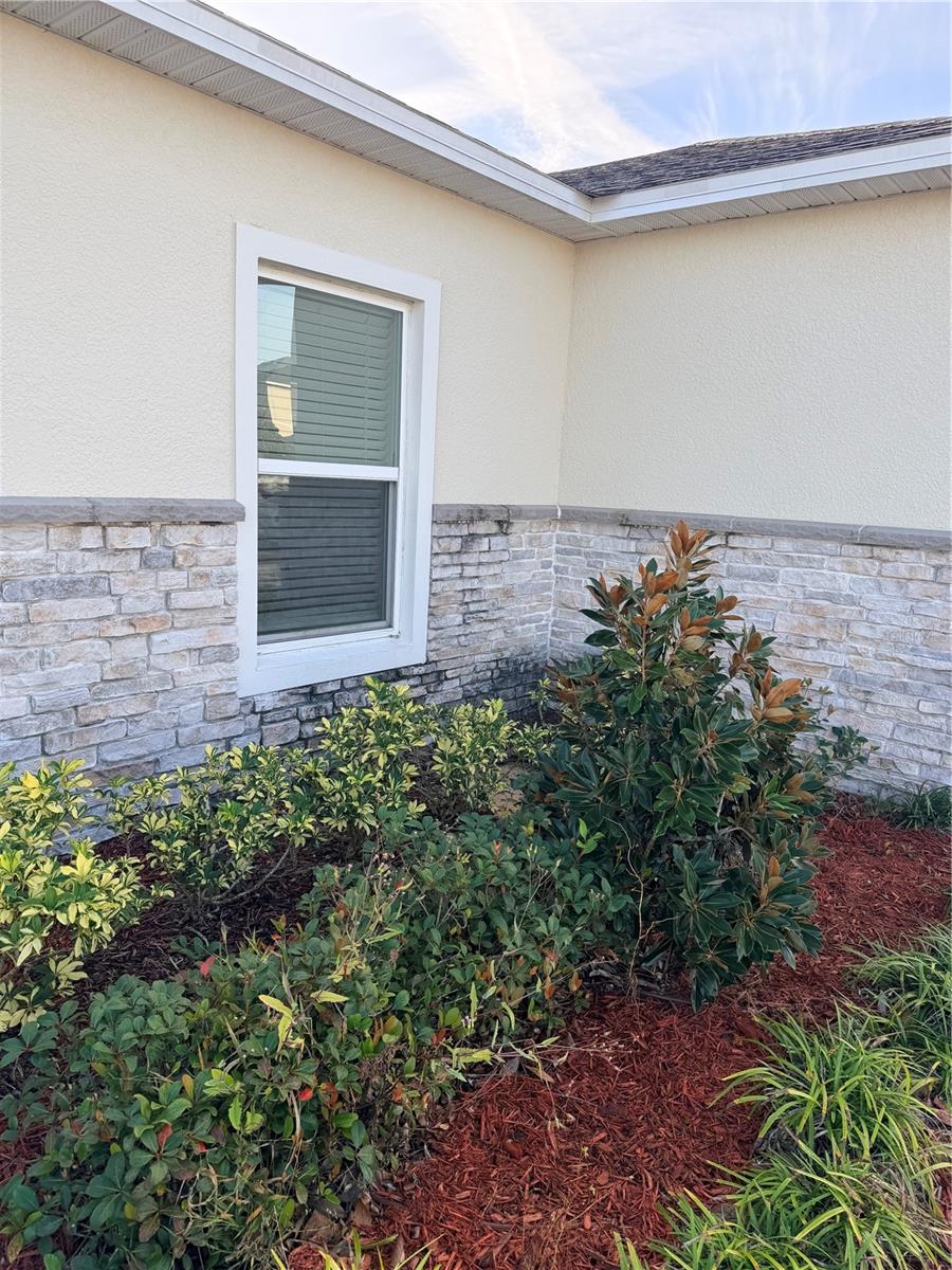 4209 BEARGRASS ST, CLERMONT, FL, 34714