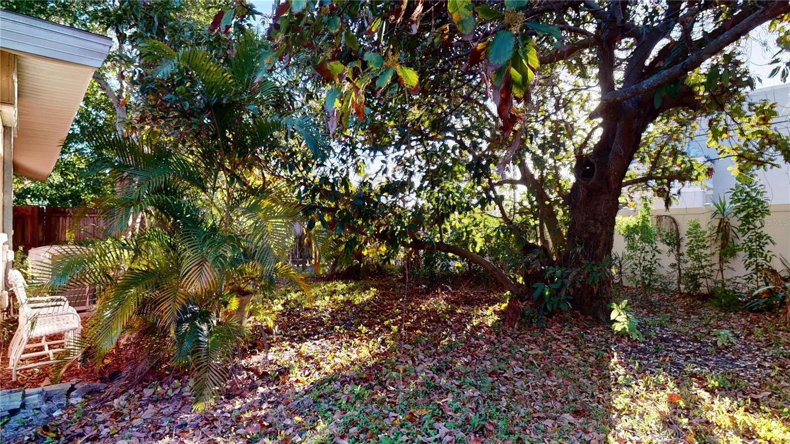 1546 BELLEAIR RD, CLEARWATER, FL, 33756