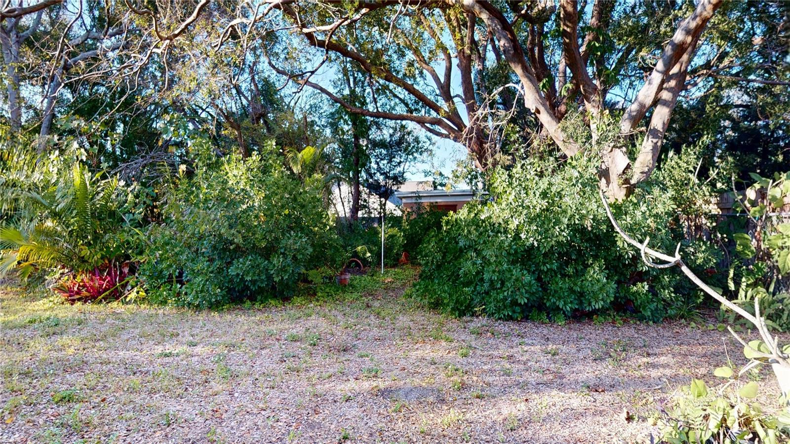 1546 BELLEAIR RD, CLEARWATER, FL, 33756
