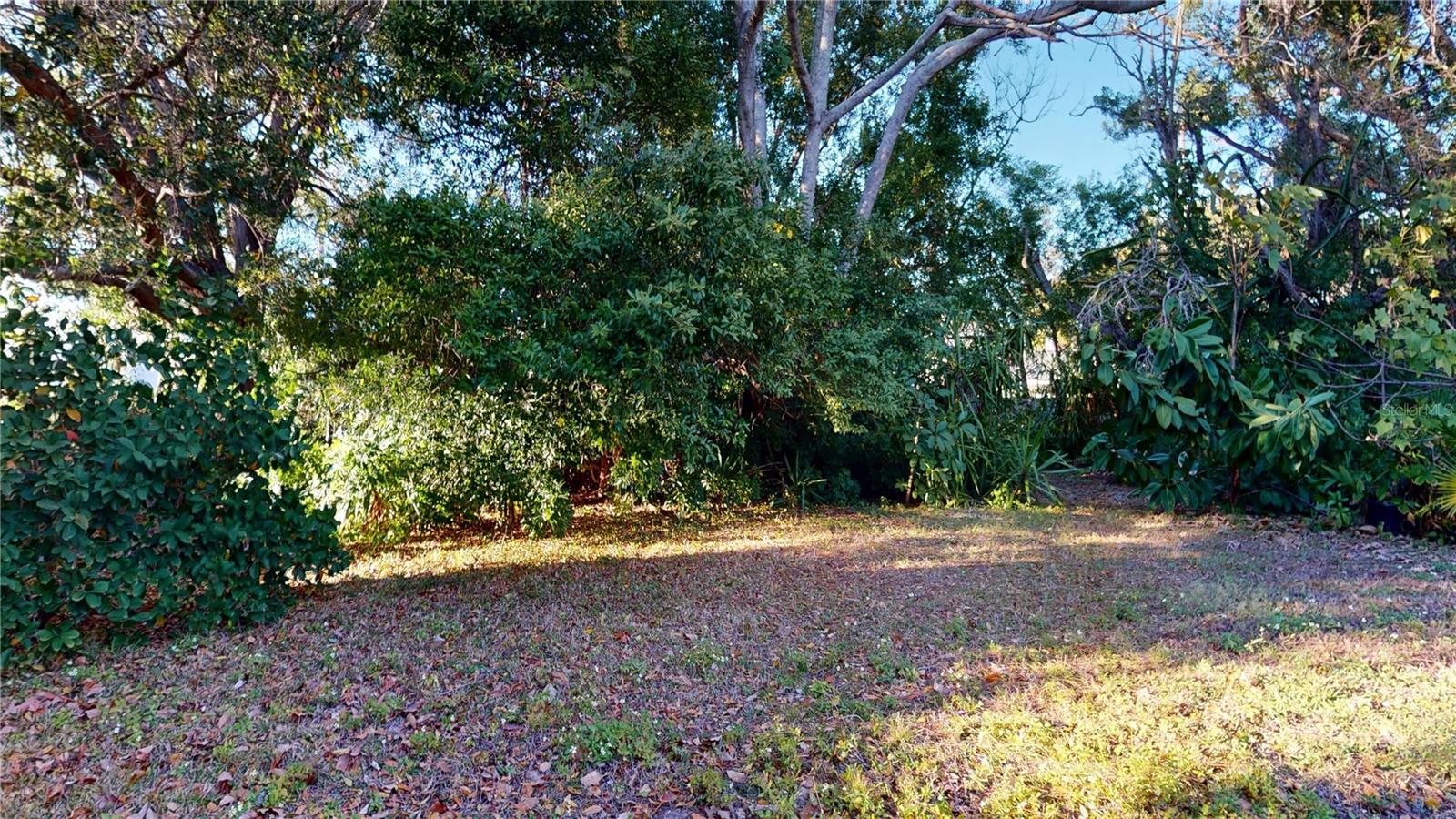 1546 BELLEAIR RD, CLEARWATER, FL, 33756