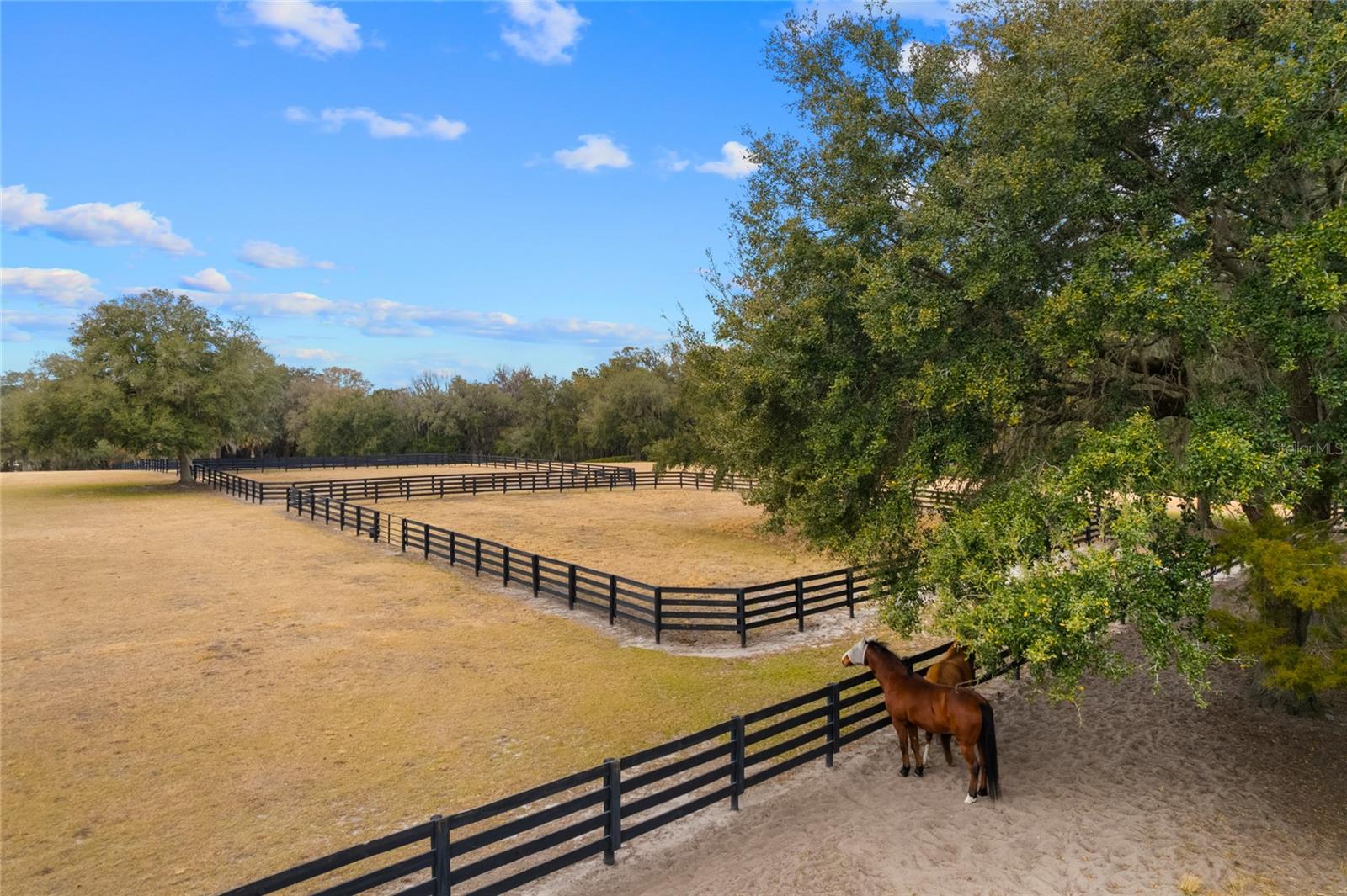 OM718236 Property Photo