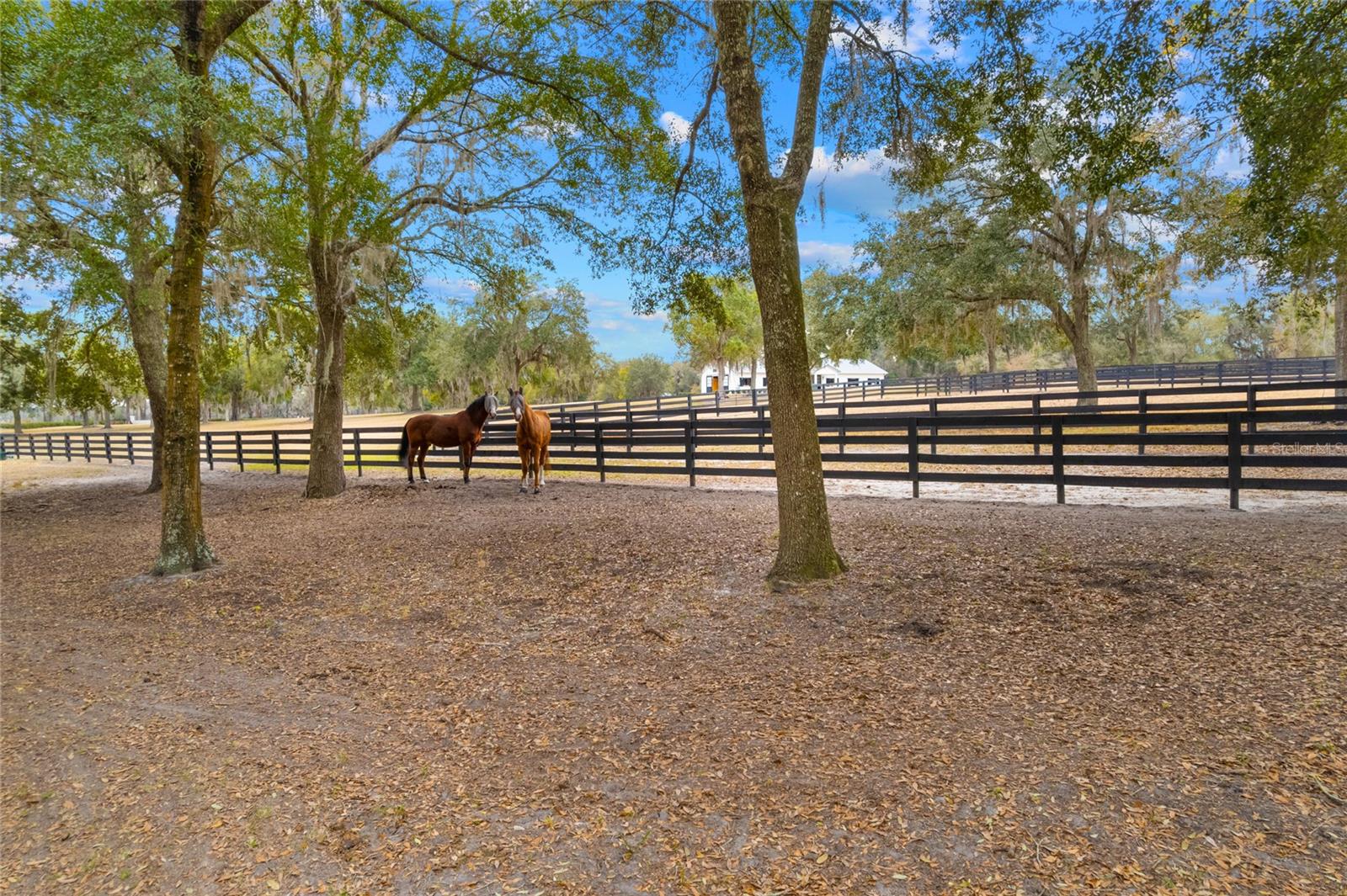 OM718236 Property Photo