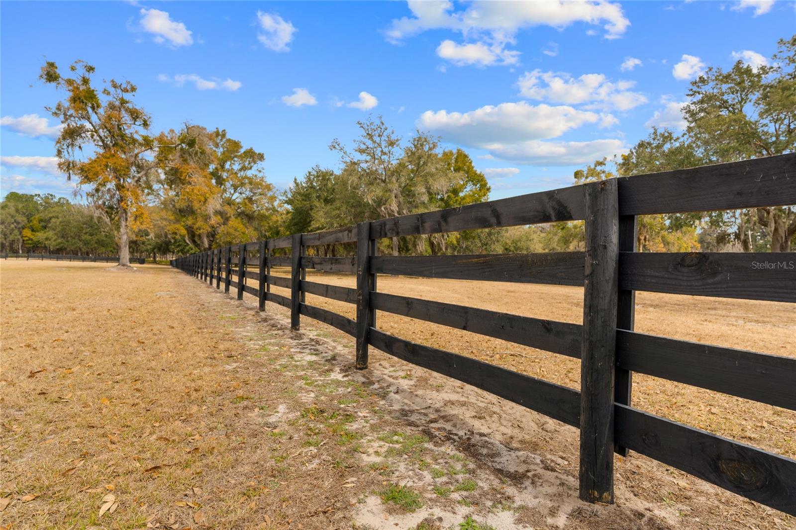 OM718236 Property Photo